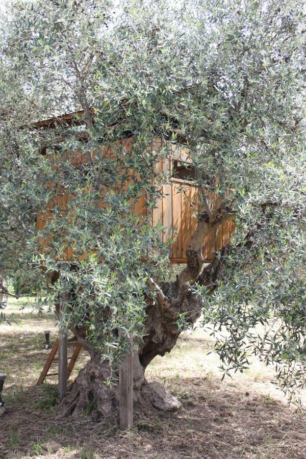 Mercouri Stone Cottage Korakokhórion Exteriér fotografie